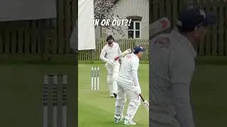 SHOULD I HAVE WALKED?! #cricket #goprocricket #cricketlover #villagecricket #fyp #t20 #batting