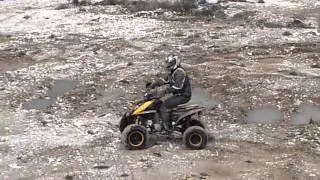 quad 250 shineray