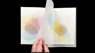 Egidija Čiricaitė, Grey Matter