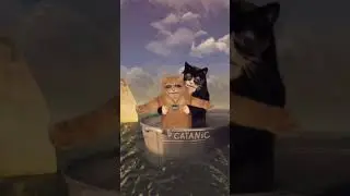 #catanic#subscribe #funny #youtubeshorts #viralvideo #tranding