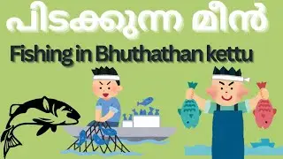 പിടയ്ക്കുന്ന മീൻ |Fishing in Bhuthathankettu Dam Floodwaters| Brave Locals vs Rushing Periyar River