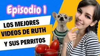 Los Mejores Videos de Ruth QFB y sus Perritos EPISODIO 1