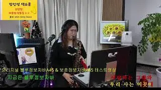 블루점보자바A45 & 보흐점보자바A45 비교
