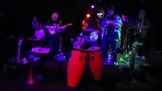 Cissy Strut Sand Dollar 5/23/2025 Set 3 Zoom Q8n-4K