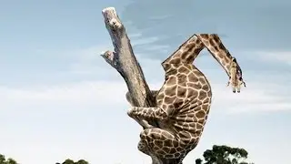 giraffe senpai full walkthrough