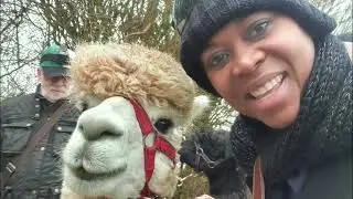 Hilly Ridge Alpaca Walking 30th Dec  2022