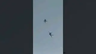 レガホvsF-5！アメリカ海軍アドバーサリー対アメリカ海軍予備役部隊！似た者同士戦闘機の空中戦デモ