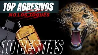 TOP 10 PERFUMES DURACIÓN BRUTAL (agresivas modo bestia)