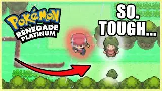 HOURS of Theorycrafting For Two Ace Trainers?!