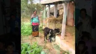 Volunteer with Orphan Children in Nepal