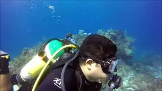 Buceo de Alejandro  MUSA Atlantis