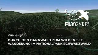 Durch den Bannwald zum Wilden See: Rundwanderung im Nationalpark Schwarzwald – Flyover