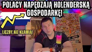 Prawda o Holandii: bez Polaków ten system leży