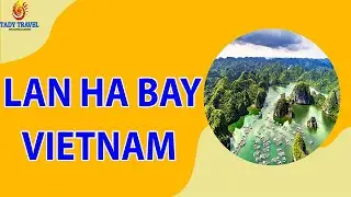 Lan Ha Bay Travel Guide | Amazing destination of Vietnam | TADY TRAVEL