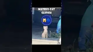 Matrix cat glitch #cats #pets #funny #matrix