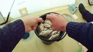 Карася ведро зимой с лунки