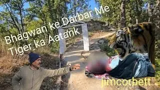 Bhagwan Ke Darbar Me Tiger Ka Aatank | Shocking Video #vlogs #jimcorbett #nature #tiger#fyp #jeetay