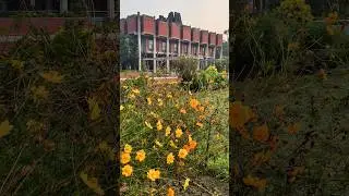 IITKanpur Campus 2025 #shorts