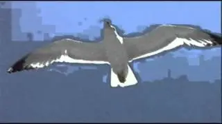 Amore grande amore libero - Il guardiano del faro