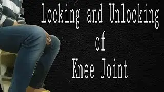 Locking and Unlocking of Knee Joint- 2 | TCML and ENMEDER