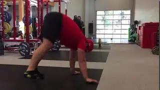 Springy Giraffe Hops