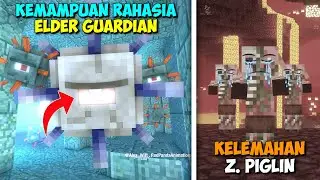30 HAL MENARIK YANG WAJIB KALIAN KETAHUI SEBELUM JADI PRO PLAYER MINECRAFT😎
