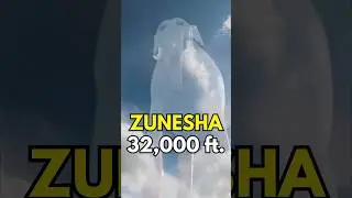 Самые высокие персонажи в One Piece!
