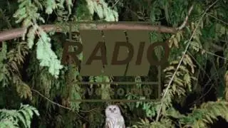 Future - Poppin Tags (Official Audio)