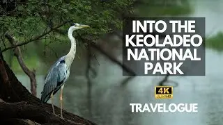 Keoladeo National Park | S02 E01 |