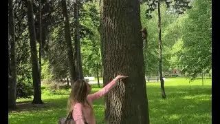 Кормим белок в парке... 🐿️ Feeding squirrels in the park