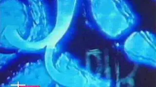 Mouse On Mars      Bib   ( 1995)