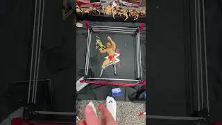 New figs #wwe #wweactionfigurematch #wweactionfigures #wwemattel #mattel #wrestling #wwefigures