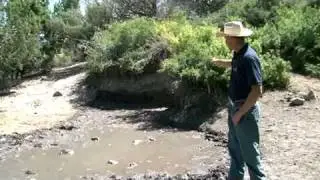 Silver King HMA Wild Horse Gather