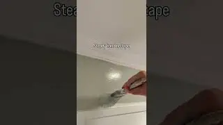 POV Interior Painting: Professional Door Frame Cut-In