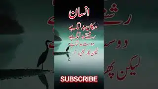 New Islamic Shorts Video 2026💖 #viral #shortsfeed #trending #shortsvideo
