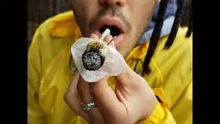 Como armar / enrolar / liar un TULIPAN de cannabis