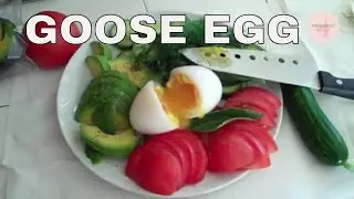 The Perfect Soft Boiled Goose Egg l How to Soft Boil A Goose Egg