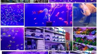 AQUATERRA ZOO  магазин просто👍👍👍👍👍