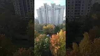 #осень25 #autumn #золотаяосень