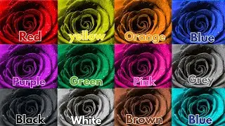 We Love All the Colors |Learn English Colors |Nursery Rhymes & Kids Song| #NurseryRhymes #kidsvideo