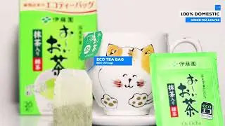 ITO EN Oi Ocha ECO TEA Bag Japanese Green Tea