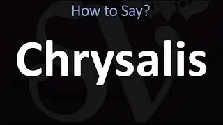 How to Pronounce Chrysalis? (CORRECTLY)