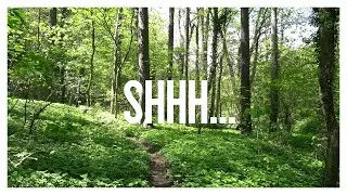 SHHH | SPRING WALK | SHUMEN, BULGARIA | SLEEP WORK STUDY