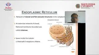Introduction to Cell Biology | Basics of Cell Structure & Cell Theory | Dr. Abhishek Pant