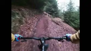 First Time at Forest of Dean.....2 Crashes