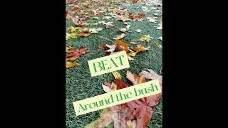 Beat Around the Bush | Definition