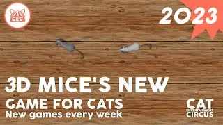 CAT CATCH MOUSE GAME  New Movements 4K - 10 Minutes - Catch mouse or mices with sounds!