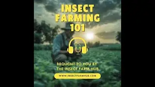 Insect Farm Hub Podcast Ep. 16: Environmental Benefits Using Black Soldier Fly for Waste Management