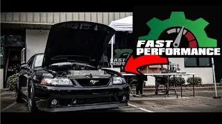 Mustangs At Daytona 2023 (Part 2) Fast Performance