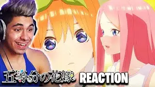 BEST ROM-COM IS BACK! | Quintessential Quintuplets Movie Trailer REACTION!!